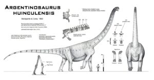 argentinosaurus-1