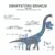 Inilah Daftar Dinosaurus Terbesar Di Dunia