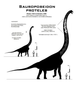 sauroposeidon_proteles_skeletal_by_paleo_king-d5duc59